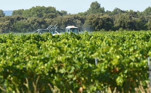 Un agriculteur en train d'épandre des produits phytosanitaires sur ses cultures.