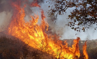 L'un des foyers d'incendie à proximité de Malibu, le 10 novembre 2018.