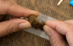 Un bébé hospitalisé après une intoxication au cannabis, son père poursuivi