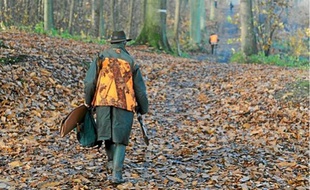 Le département compte un peu plus de 14 000 chasseurs, dont un quart vit en ville.