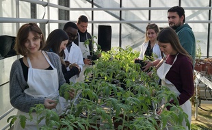 Des étudiants dans les serres de l'Inra