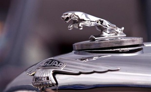Capot d'une Jaguar.