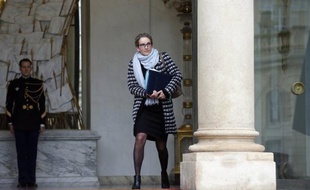 La future Agence française de la biodiversité, voulue par le président François Hollande, pourrait regrouper différents établissements existants en charge de la protection de la nature et compter jusqu'à 1.000 agents, selon les deux spécialistes missionnés pour en définir les contours.
