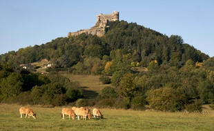 Le château de Murol (Puy-de-Dôme).
