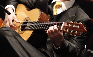 Le 31 janvier 2013. Illustration d'un guitariste.