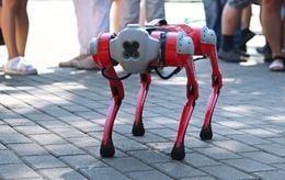 Ce nouveau chien robot peut briser des vitres et courir jusqu’à 18 km/h