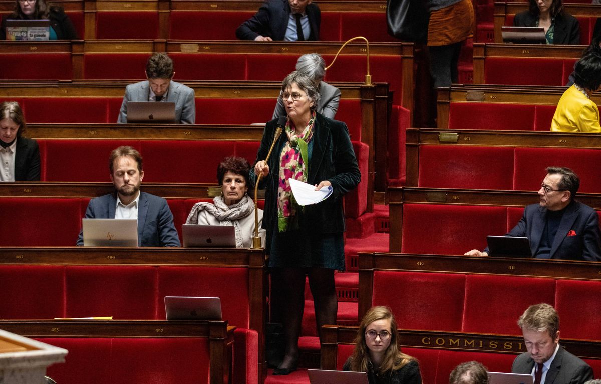 Déserts médicaux : Députée et médecin, Dominique Voynet milite pour la régulation des jeunes image