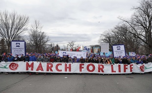 Plusieurs dizaines de milliers de personnes opposées à l'avortement ont participé à la March for Life, le 27 janvier 2017, à Washington.
