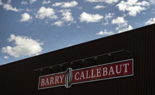 Le groupe suisse Barry Callebaut, premier fabricant mondial de chocolat pour l'industrie alimentaire, a annoncé mercredi avoir conclu un accord en vue du rachat pour 950 millions de dollars (730,8 millions d'euros) du plus grand fournisseur de produits à base de cacao en Asie, la division Cocoa Ingredients du singapourien Petra Foods.