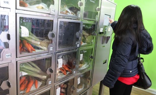 Pas de sodas ni de sucreries dans les casiers d'Au bout du champ, la boutique de la rue des Dames (17e). On y trouve des lÈgumes et fruits venus de petits producteurs dans un rayon de 100 km autour de Paris.
