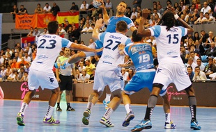 Le joueur du Fenix handball Jérôme Fernandez lors d'un match de D1 contre Créteil, le 15 octobre 2014 à Toulouse.