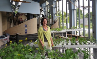 Agnès Joly dans son potager