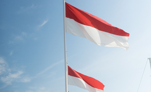 Le drapeau de Monaco (illustration).
