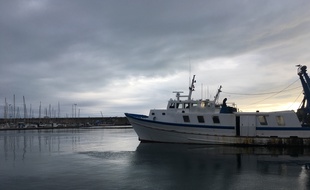 Dans le port de Sète (illustration)