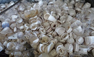 Des gobelets en plastique attendant d'être recyclés au siège de l'entreprise Canibal à Gennevilliers, le 22 mai 2015
