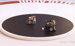 Les étudiants de l'école d'ingénieurs ECAM Strasbourg-Europe organise un tournoi de micro robots sumo le 21 avril.