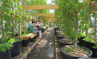 Dans les allées de l'événement Quai des plantes, quai de la Fosse à Nantes.