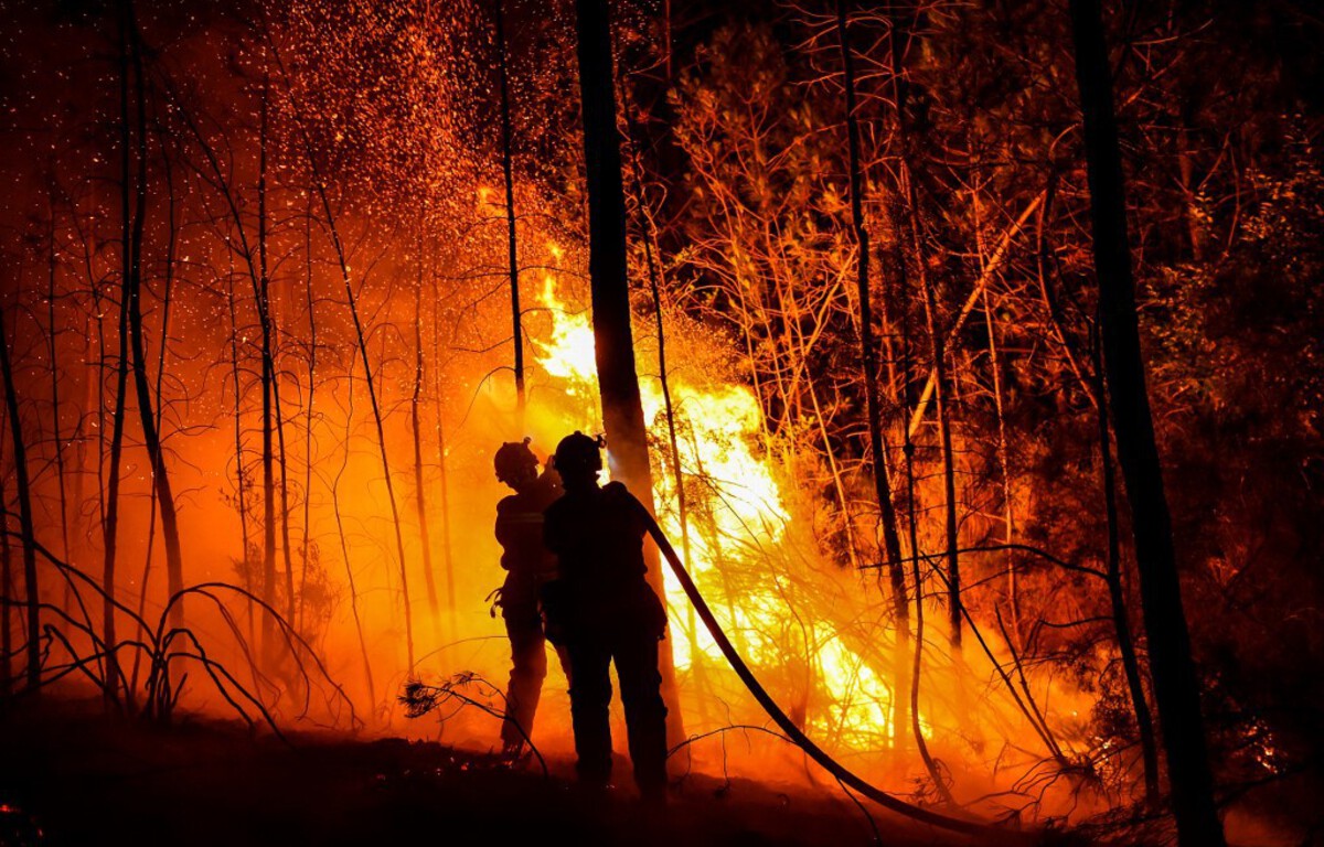 GARD Feux d'artifice, attention aux feux de forêt !