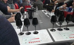 Dans une dégustation géo-sensorielle, le vin se goûte dans un verre noir,