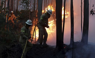 Le Portugal a décrété trois jours de deuil national à partir de ce dimanche, après l'incendie de forêt le plus meurtrier de son histoire récente.
