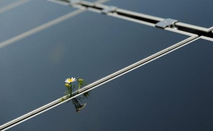 Le groupe pétrolier Total va aider ses employés en France à équiper leur domicile en panneaux photovoltaïques, fabriqués par sa filiale dédiée à l'énergie solaire SunPower.