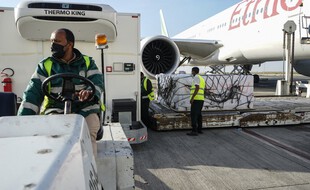 Un employé décharge des cartons de vaccins Oxford / AstraZeneca Covid-19, livrés dans le cadre de l'initiative Covax dirigée par l'ONU, qui vise à faciliter l'accès aux vaccins pour les pays les plus pauvres, à l'aéroport international d'Addis-Abeba, en Éthiopie, le 7 mars 2021.