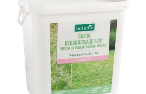 Rendez votre gazon plus dense avant l’hiver : ces graines sont à 34,99€ chez Botanic