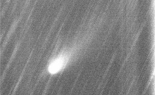 La comète interstellaire Borisov, photographiée en janvier 2020.