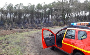 Plusieurs hectares ont été ravagés dans les Landes, sur la commune de Sanguinet.
