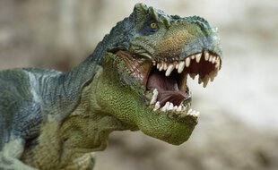 Le Tyrannosaure se déplaçait grâce à sa queue.