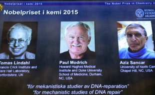 Les portraits des lauréats du prix Nobel de chimie, (de g à d) le Suédois Tomas Lindahl, l'Américain Paul Modrich et le Turco-Américain Aziz Sancar présentés sur un écran à l'Académie royale des sciences le 7 octobre 2015 à Stockholm