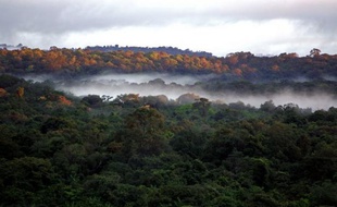 L'Amazonie, la baie d'Halong et les chutes d'Iguazu faisaient partie, selon des résultats provisoires publiés vendredi, des sept sites arrivés en tête du vote destiné à choisir les sept merveilles de la Nature, une opération lancée par la fondation suisse New7Wonders.