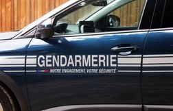 Un jeune de 18 ans agresse son frère à coups de couteau près de Toulouse