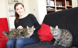 «Il y a plein d'amoureux de chats qui n'ont jamais fait le pas d'en adopter un», assure Marie Quincey. Alors si vous prêtez-le votre le temps de vos vacances ?