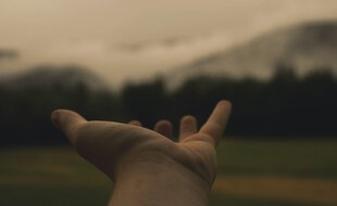 Près de 300.000 enfants sont placés en France