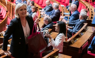 Marine Le Pen à l'Assemblée nationale (illustration).