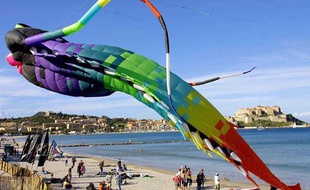 Le Festival du Vent a lieu tous les ans à Calvi, en Haute-Corse.