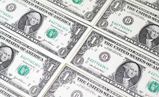 Billets en dollars.