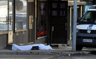 Un homme en tenue de camouflage juché sur un toit a ouvert le feu dans la nuit de vendredi à samedi sur deux restaurants remplis de jeunes dans la localité finlandaise d'Hyvinkää, tuant deux étudiants et blessant sept autres personnes.