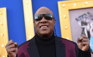 Le musicien Stevie Wonder