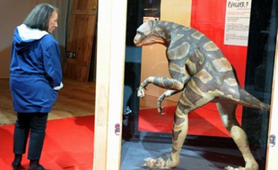 Une femme regarde un jeune dinosaure lors de la fête de la science, le 17 novembre 2009 à Toulouse