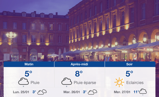 Météo Toulouse: Prévisions du dimanche 24 janvier 2021