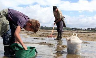 De nombreuses personnes profitent des grandes marées pour pêcher, comme ici, à Trebeurden, en août 2010.