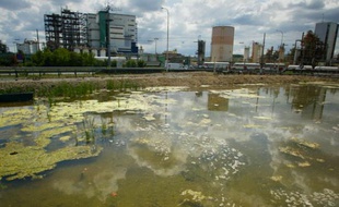 Chez Arkema, basée en plein couloir de la chimie, à Pierre-Bénite, une mare a été aménagée sur une friche industrielle pour attirer les oiseaux migrateurs, les castors et libellules. A défaut de supprimer la pollution sur le site, ouvert depuis 1902, cela permet selon Naturama, association environnementale, d’œuvrer pour le maintien et le développement de la faune et la flore présente sur ces zones d’anciens marécages.