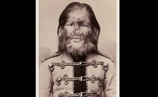Fedor Jeftichew