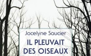 Il pleuvait des oiseaux