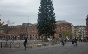 Le nouveau sapin est fissuré. Strasbourg le 7 novembre .