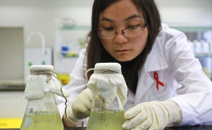 Une chercheuse chinoise dans le labatoire de recherche et de prévention contre le Sida.