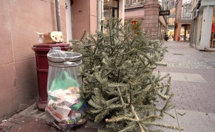 Strasbourg: Attendez les jours de collecte pour vous débarrasser de votre sapin (et éviter les amendes) (Archives)
