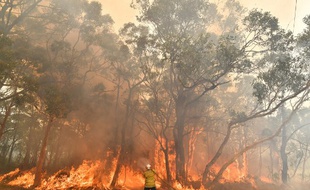 Le 10 décembre 2019, un pompier australien combat les flammes dans la région
